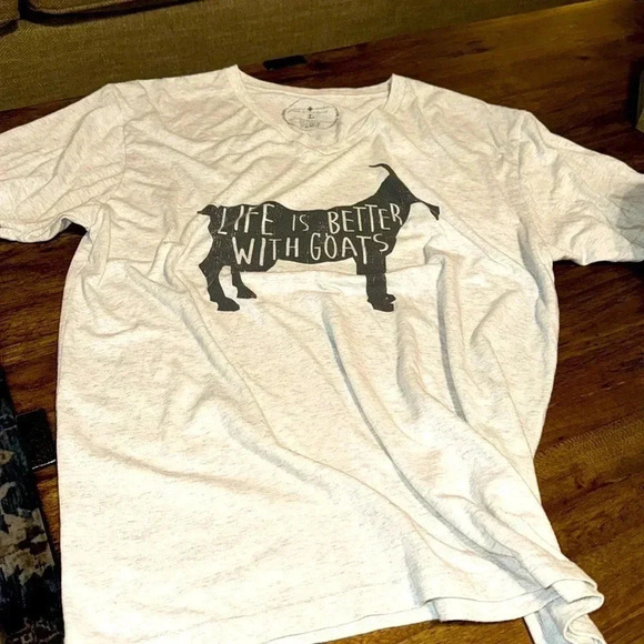 JANE MARIE GOAT SHIRT LG VNECK GREY COLOURED - Picture 2 of 6